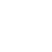 Vector (2)
