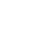 Vector (7)
